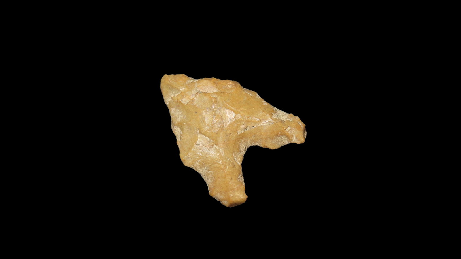 1" Dalton / San Patrice, Lee County, Arkansas, Crowley's Ridge (1 of 4)