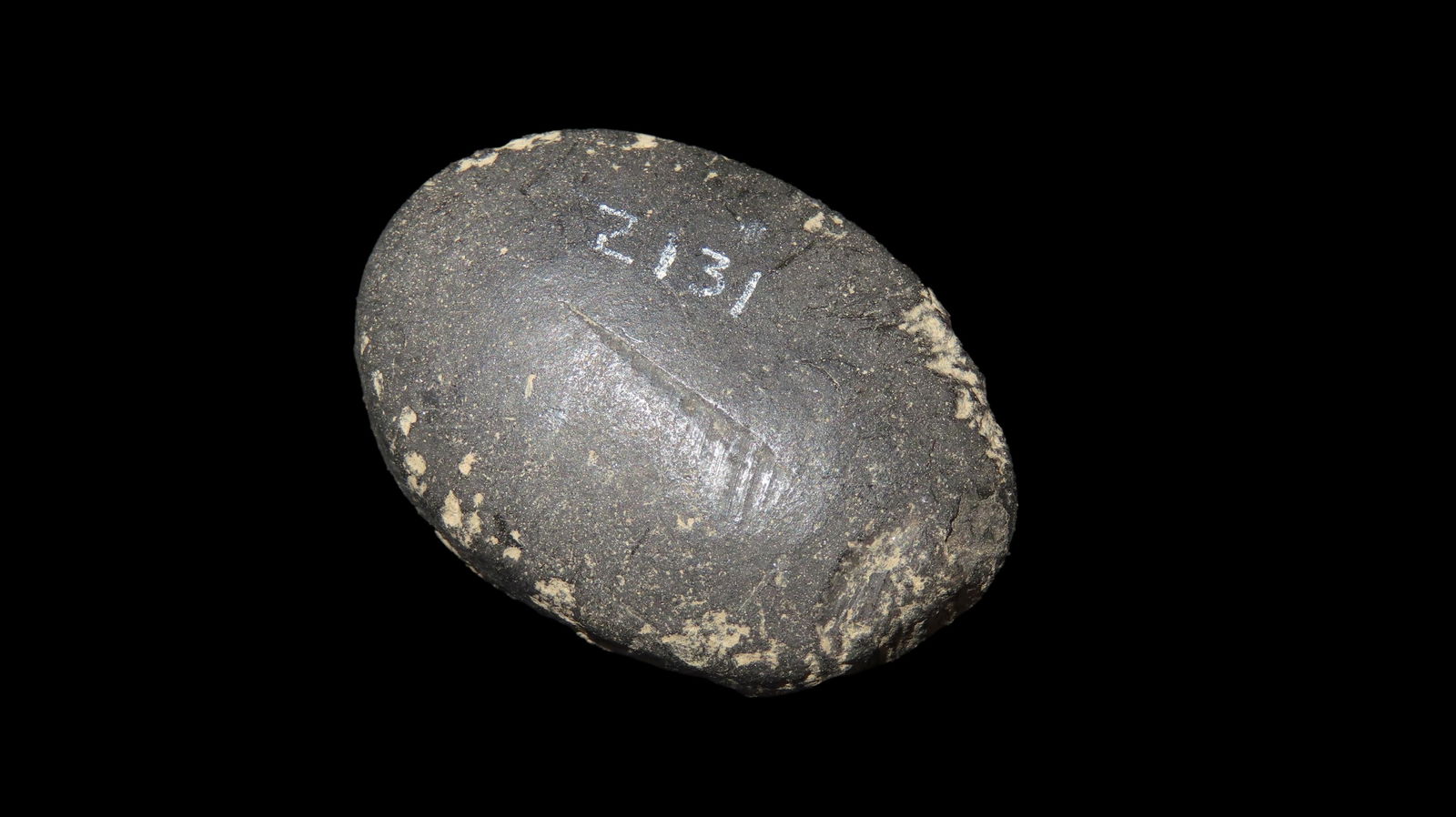 Canal Coal Loaf Stone / Cone, Kentucky: Canal Coal Loaf Stone / Cone, Kentucky