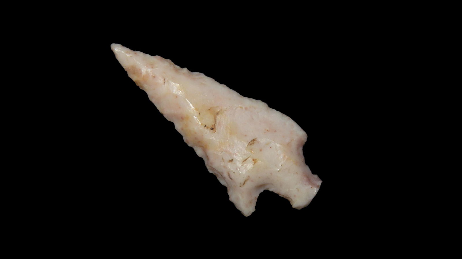 1 1/4" Outstanding Bird Point, Arkansas / Missouri, Ex. Emmit Schultz Collection (1 of 4)