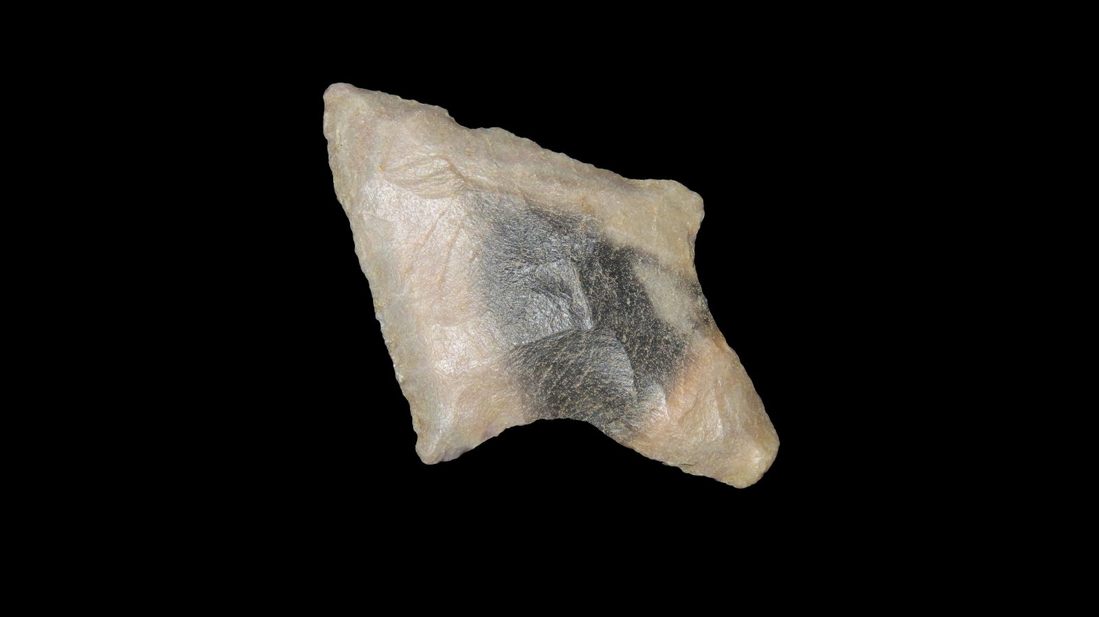 2 1/16" Narrow Stemmed Adena, from Southeast, Ex. Walt McIntyre: 2 1/16" Narrow Stemmed Adena, from Southeast, Ex. Walt McIntyre