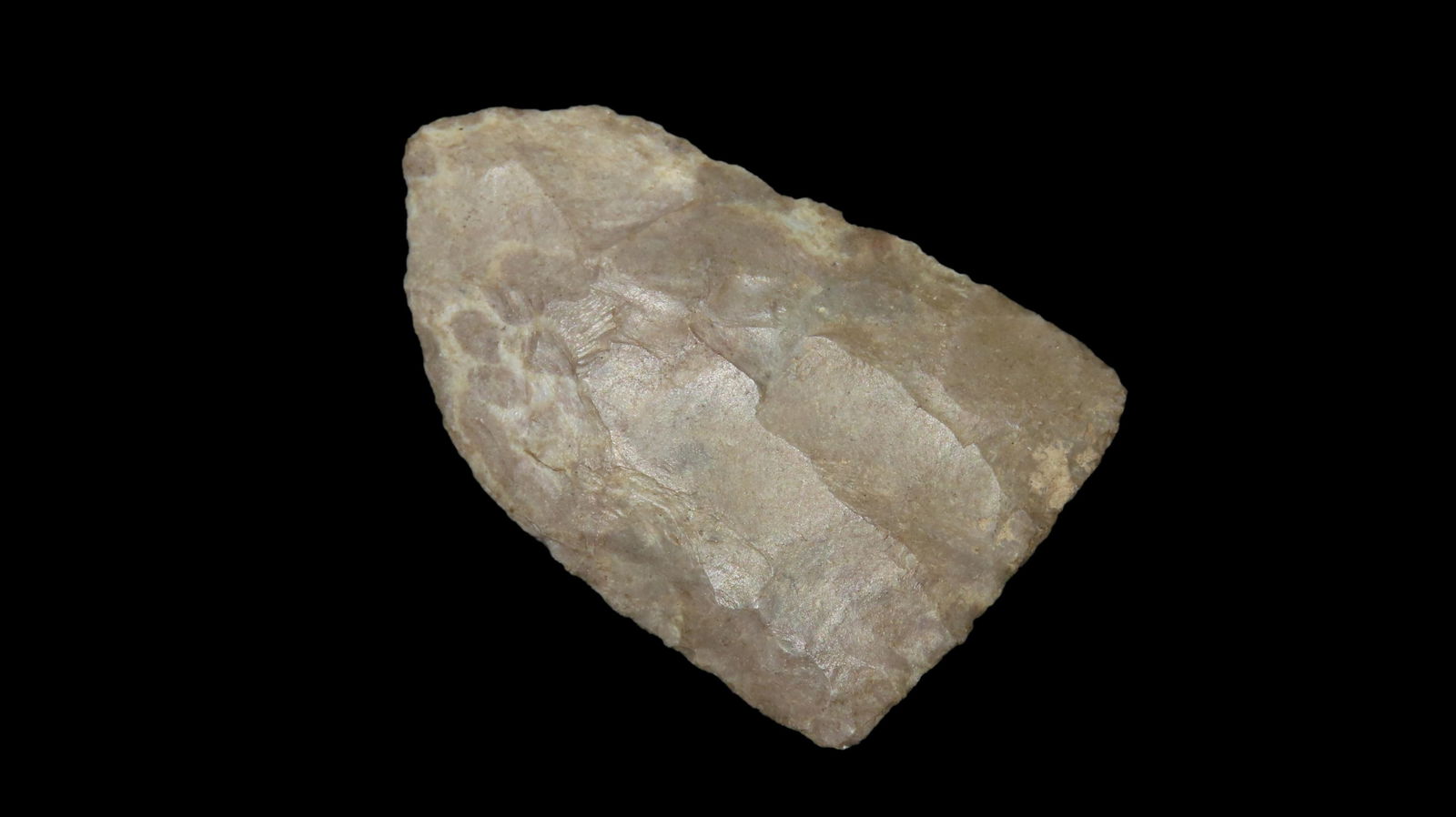 1 9/16" Paleo Point, Nice Thinning Flute, Posey County, Indiana (1 of 4)