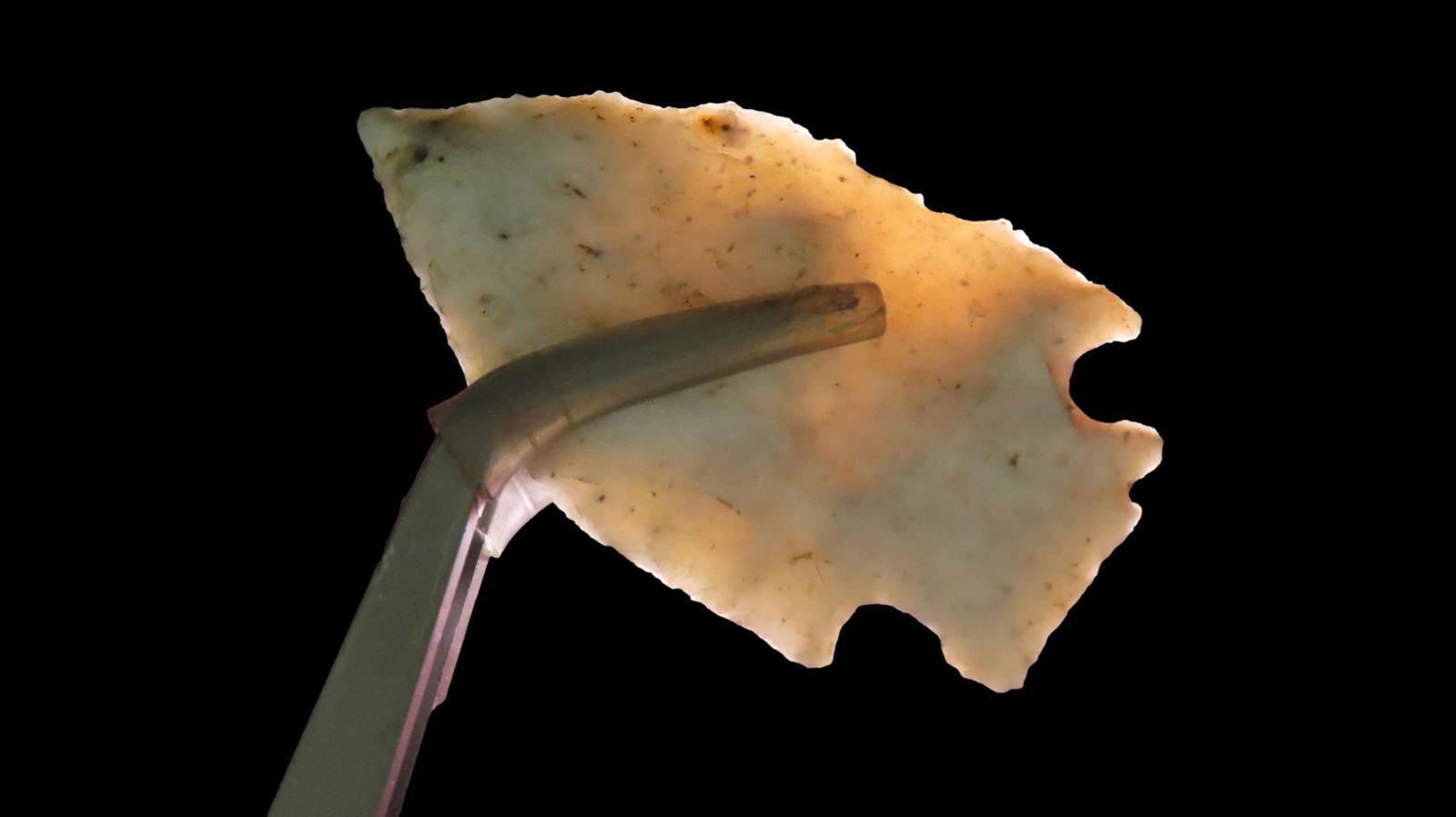 2 1/8" Wafer Thin Corner Notch, Translucent, Found by Gary Nelson, Van Buren County, Iowa (1 of 5)