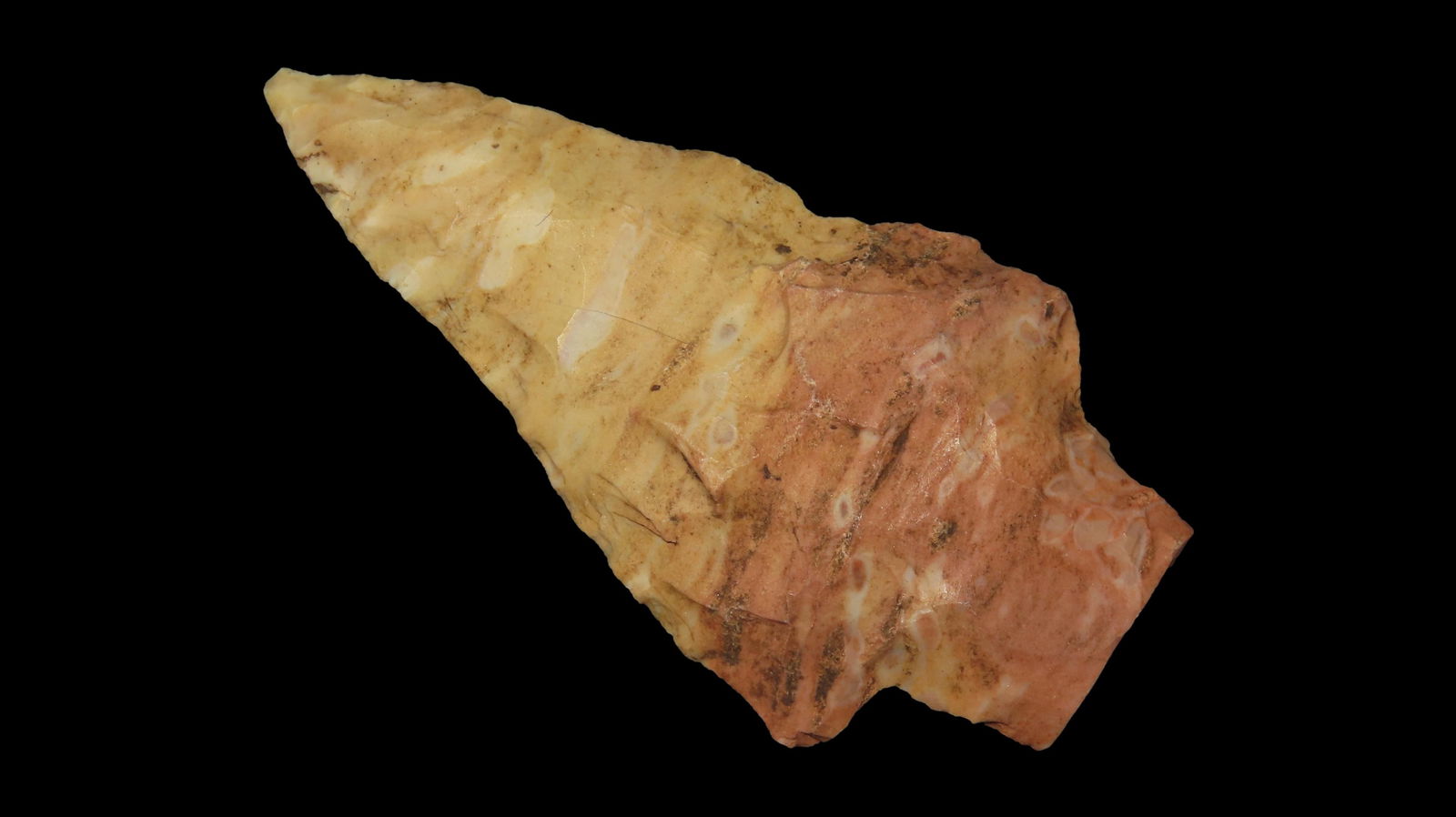 2 5/8" Adena Robbins, Kentucky / Tennessee, Ex. Walt McIntyre (1 of 4)