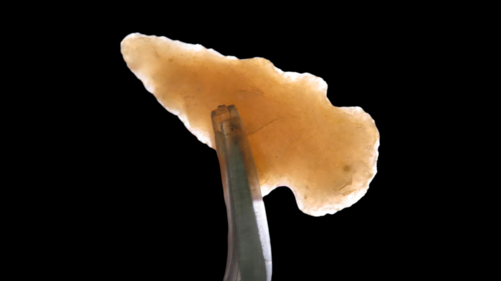 1 3/8" Gem Point, Columbia River, Washington: 1 3/8" Gem Point, Columbia River, Washington