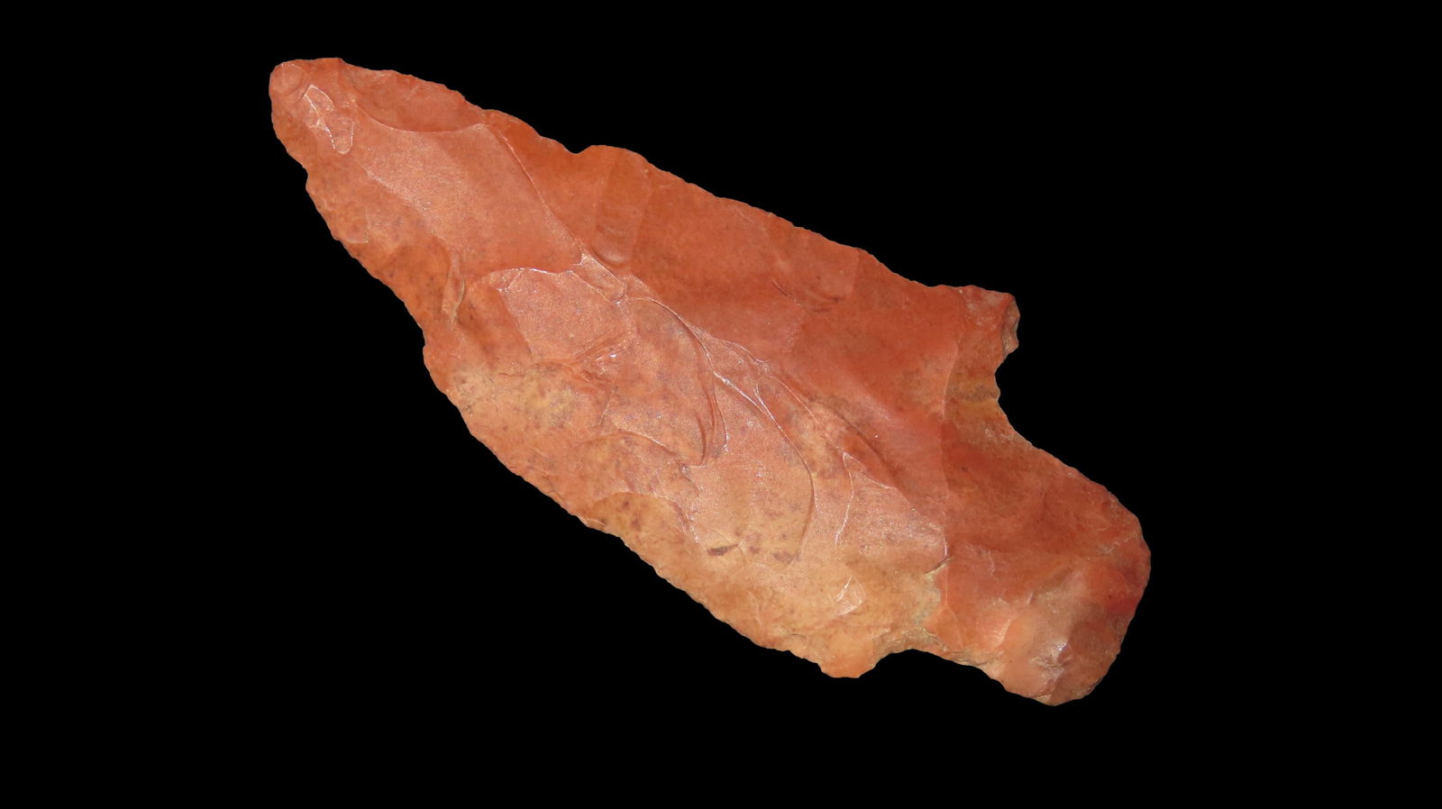 2 9/16" Adena Robbins, from Southeast, Ex. Walt McIntyre (1 of 4)