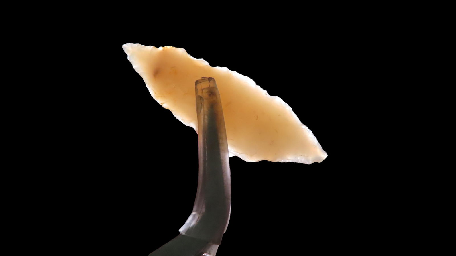 1 7/16" Cascade Gem Point, Columbia River, Washington (1 of 5)