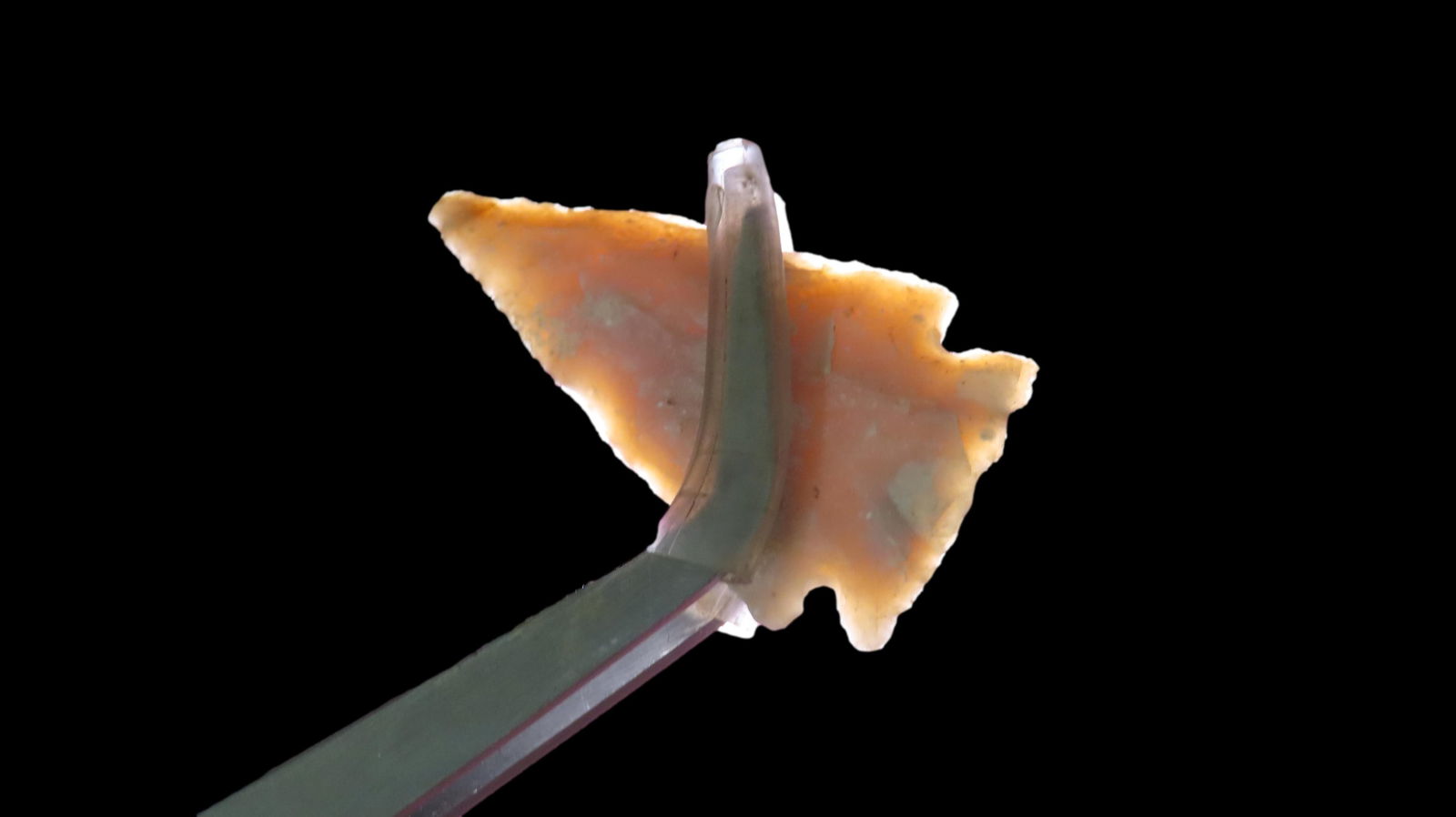 1 3/8" Translucent Ensor, Texas (1 of 5)