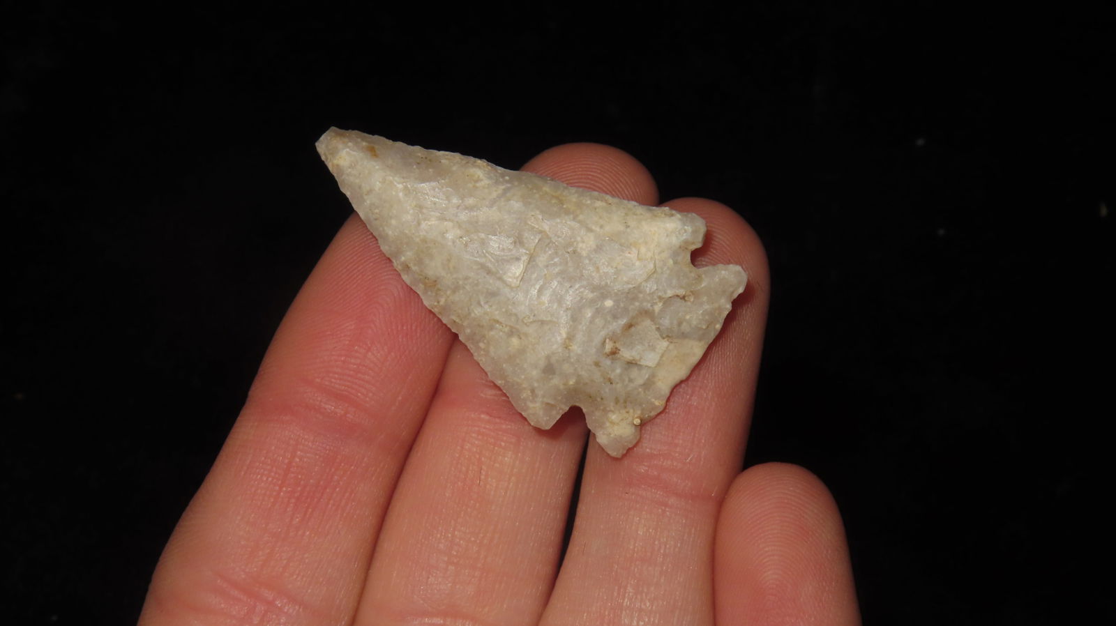 1 3/8" Translucent Ensor, Texas - 3