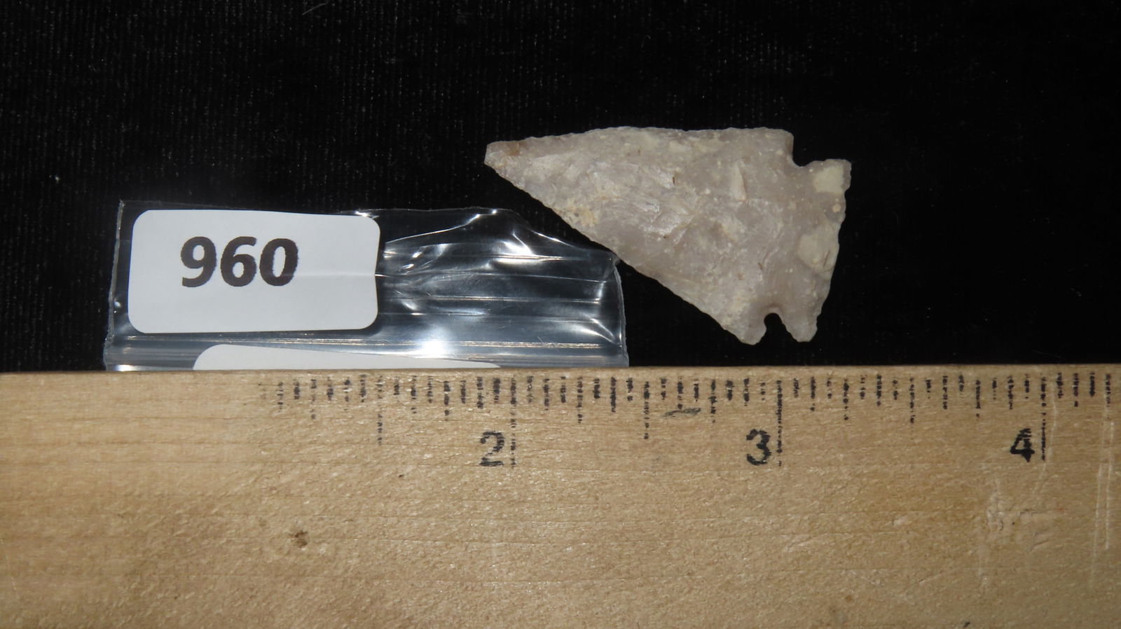 1 3/8" Translucent Ensor, Texas - 5