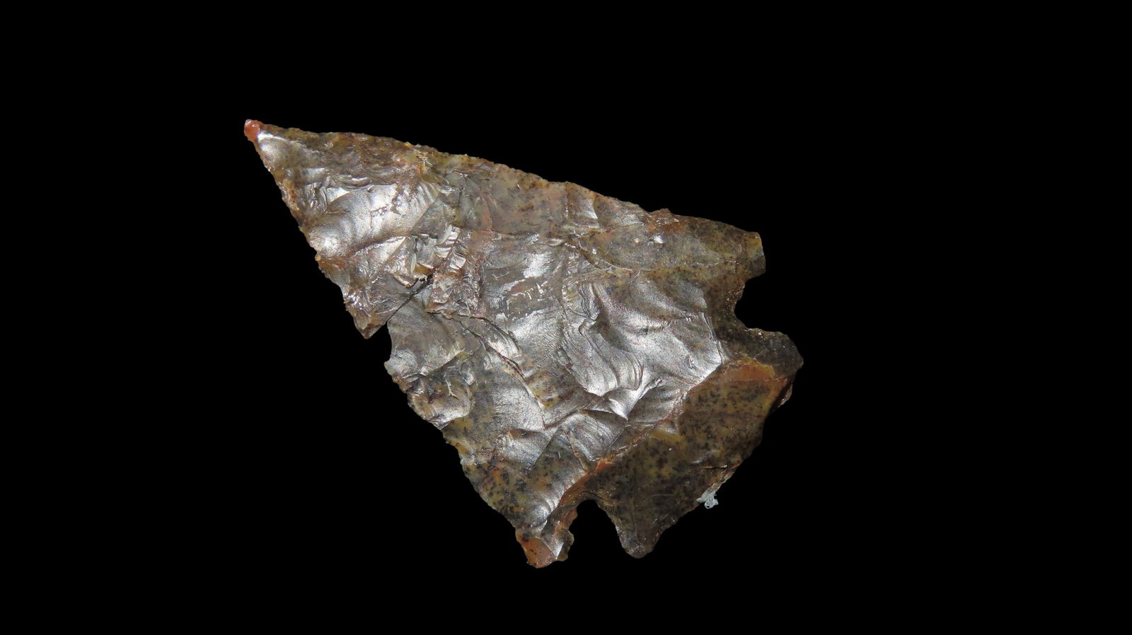 1 3/8" High Plains Corner Notch, Gem Grade Translucent Material, Broken / Reglued at Midsection (1 of 4)