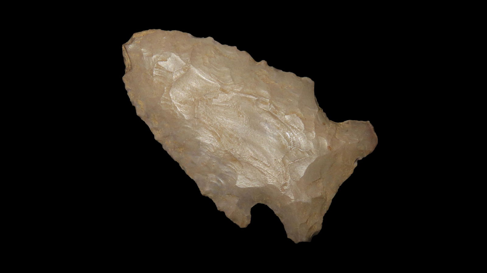 2 1/8" Stillwell, from Southeast, Ex. Walt McIntyre (1 of 4)