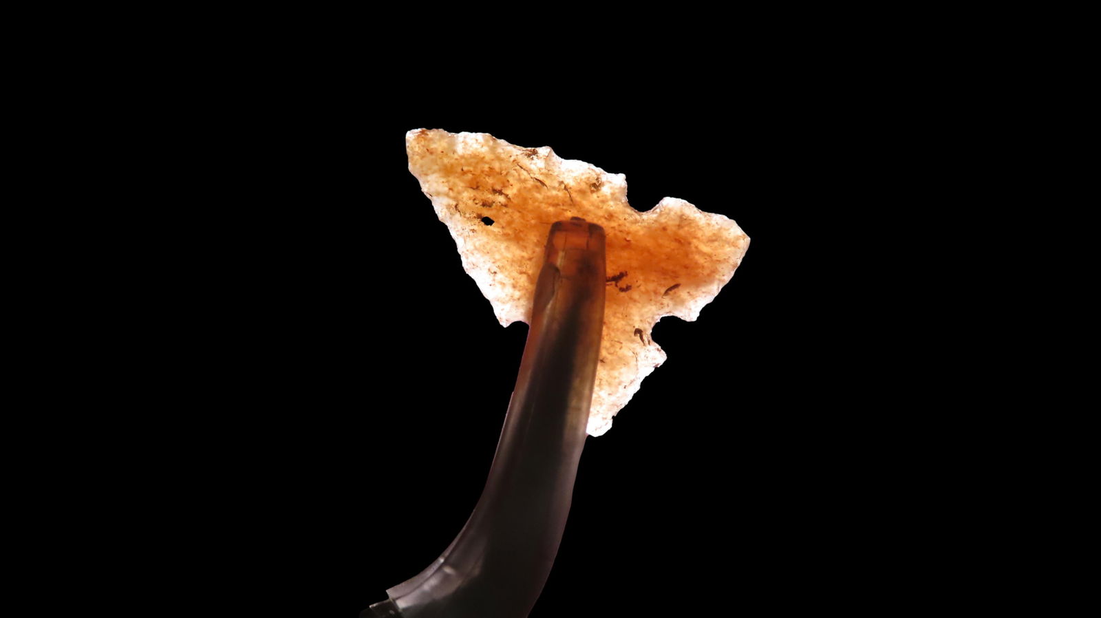 3/4” x 1/2” Birdpoint: 3/4” x 1/2” Birdpoint