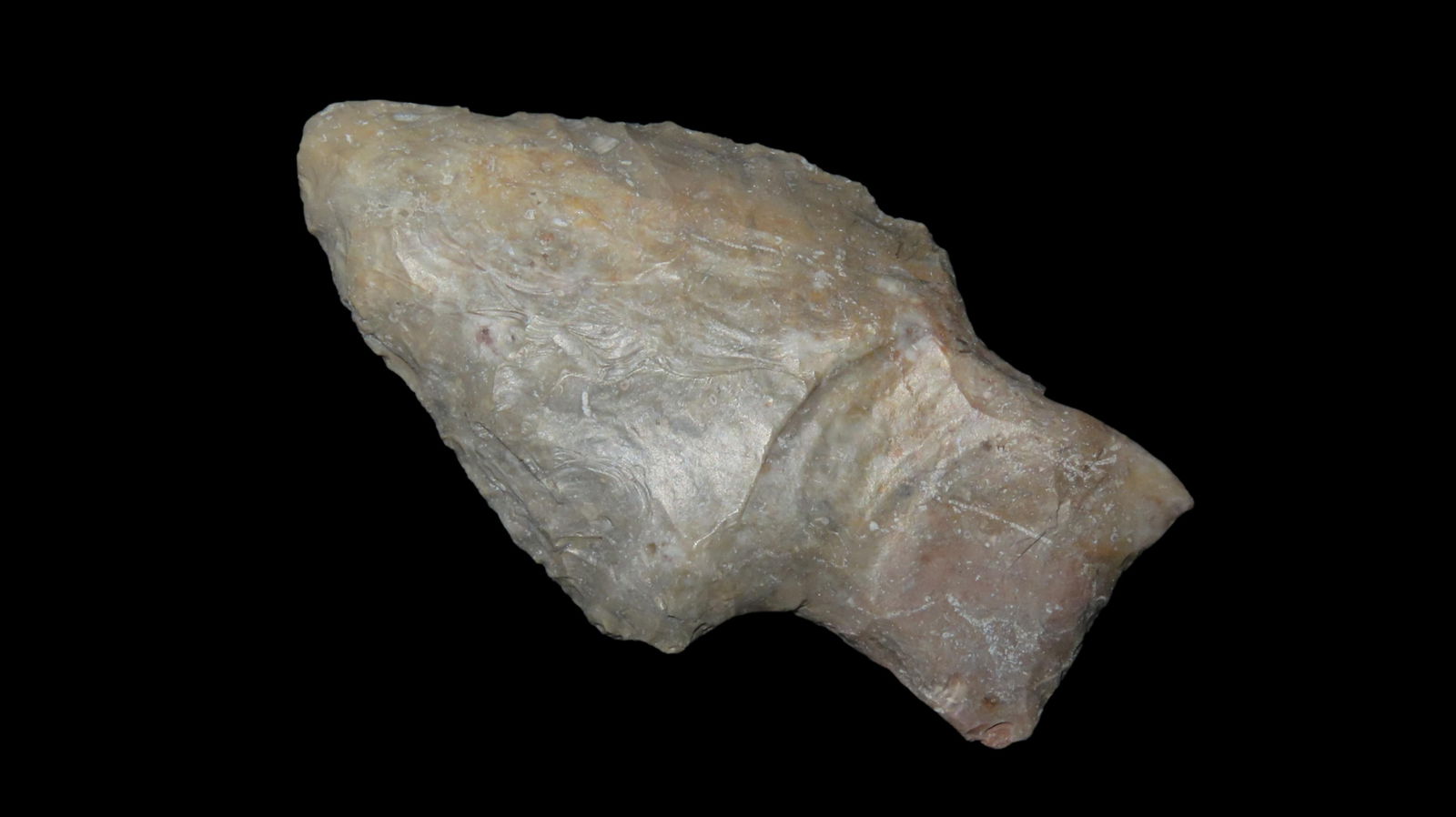 2 1/2” x 1 1/4” Colorful Stempoint: 2 1/2” x 1 1/4” Colorful Stempoint