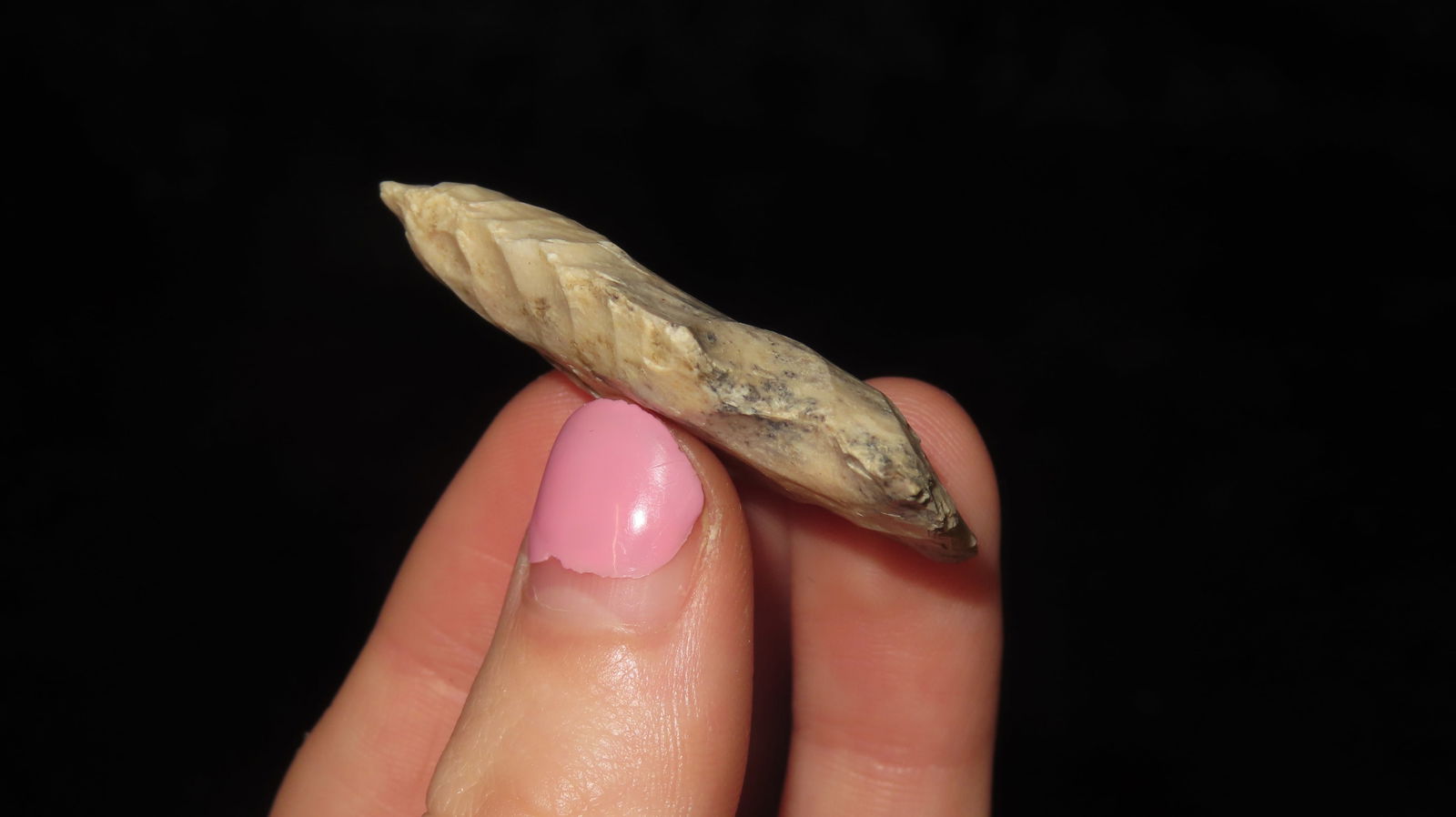 2 1/2” x 1 1/8” Square Stem point - 3