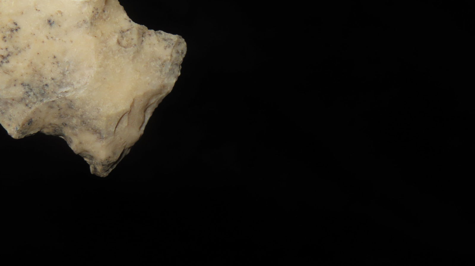 2 1/2” x 1 1/8” Square Stem point - 5