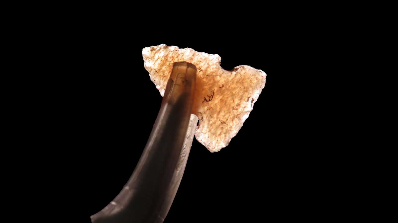 1/2" x 1/4" Colorful Birdpoint: 1/2" x 1/4" Colorful Birdpoint