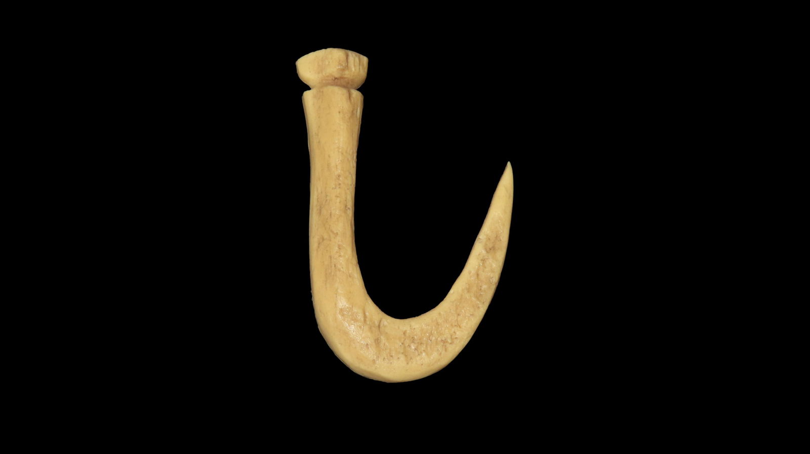 2" CAST of Bone Hook: 2" CAST of Bone Hook