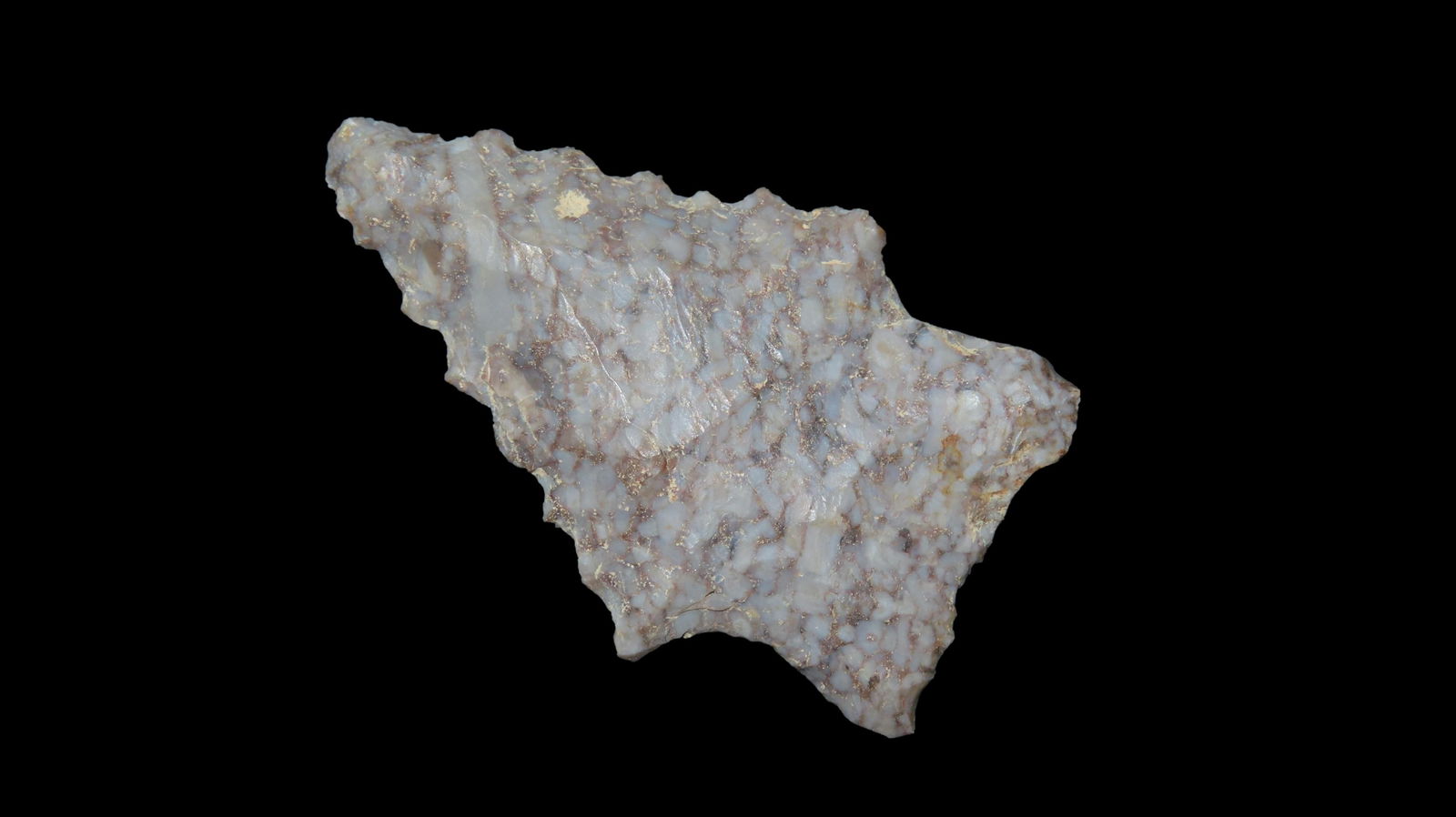 Piedmont, Northern Variety, Eastern Kentucky: Piedmont, Northern Variety, Eastern Kentucky