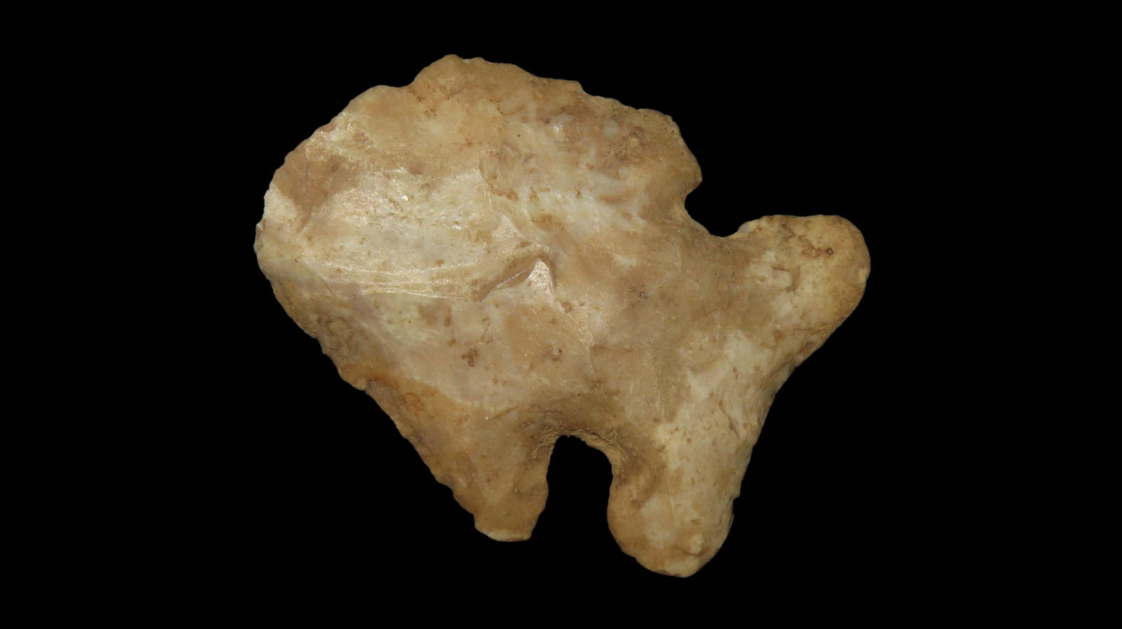 2 1/2" x 2" Thebes, Found in Pike Co. Illinois by Lawrance Crook of Berry Illinois sometime between (1 of 6)