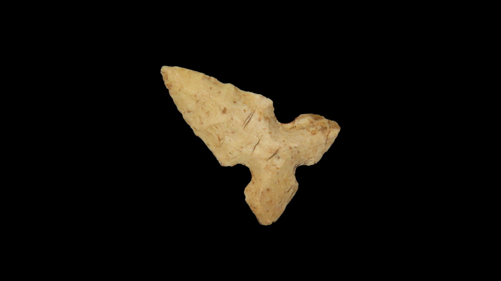 1" x 11/16" Cahokia, Partain COA, Found in St. Clair Co. Illinois, Burlington Chert, Ex. James (1 of 7)