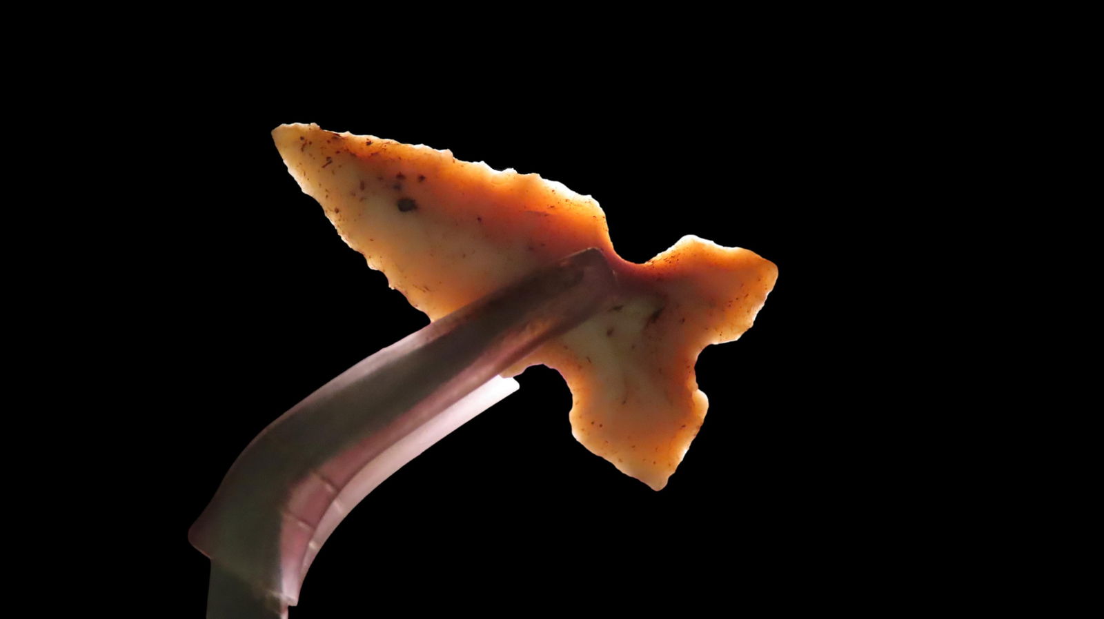 1 1/8" x 1/2" Cahokia, Partain COA, Found in St. Clair Co. Illinois, Burlington Chert, Ex. James: 1" x 11/16" Cahokia, Partain COA, Found in St. Clair Co. Illinois, Burlington Chert, Ex. James Hinson Collection