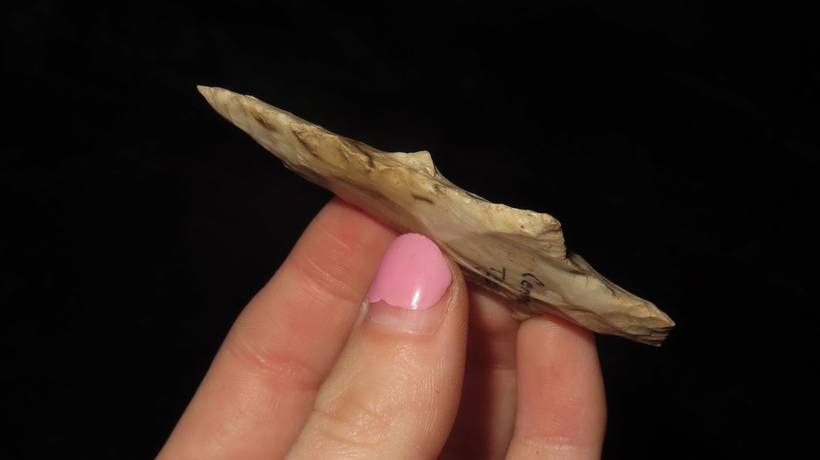 2 7/8" Dickson Point, Central Texas - 3