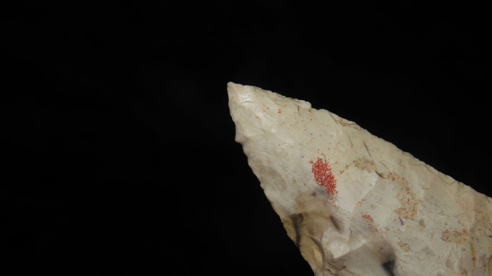 2 7/8" Dickson Point, Central Texas - 4