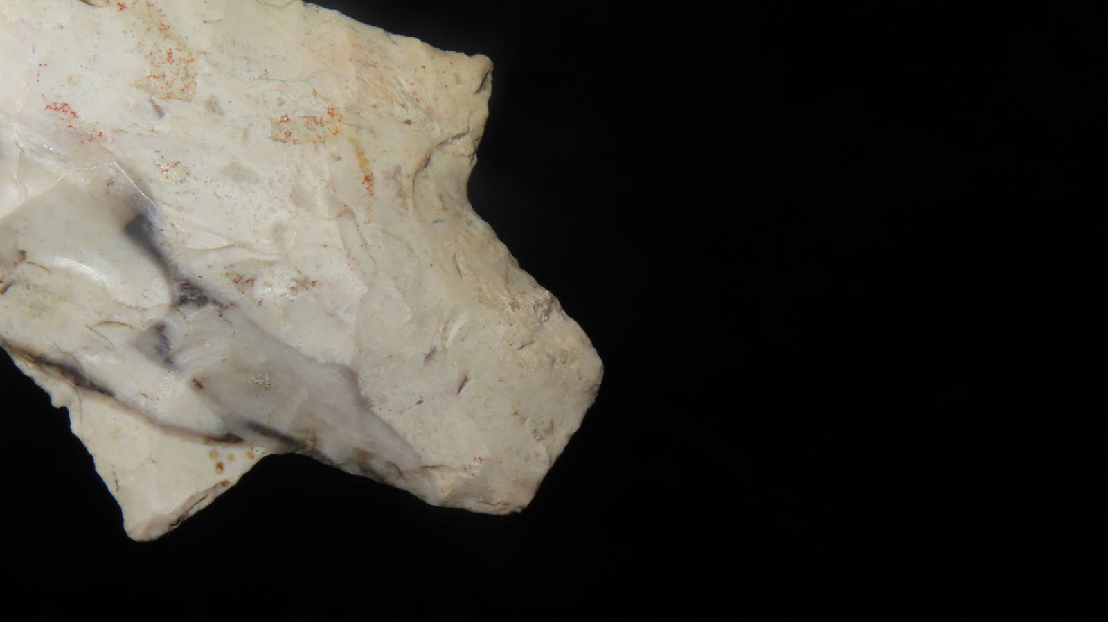 2 7/8" Dickson Point, Central Texas - 5