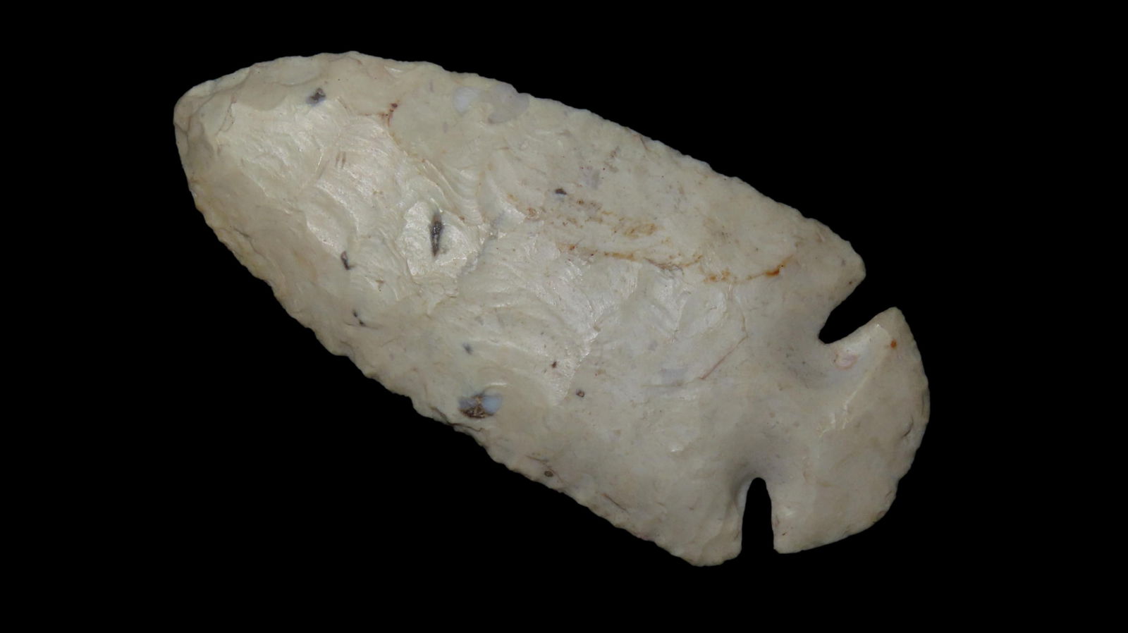 3 1/8" Dovetail, Perry County, Missouri (1 of 6)