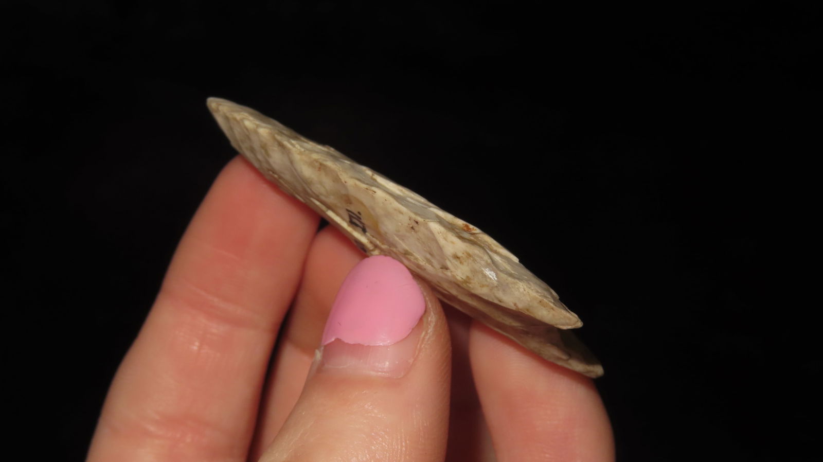 2 1/8” Clovis, Cass County, Illinois - 3