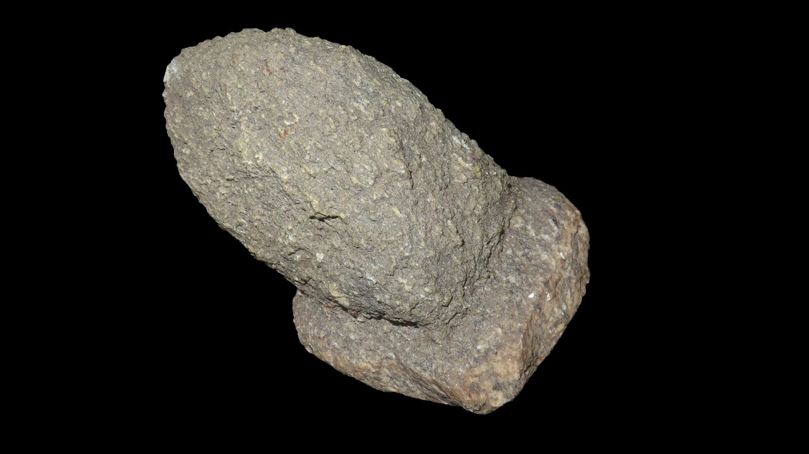 6” Bird Head Effigy, found in Iowa: 6” Bird Head Effigy, found in Iowa