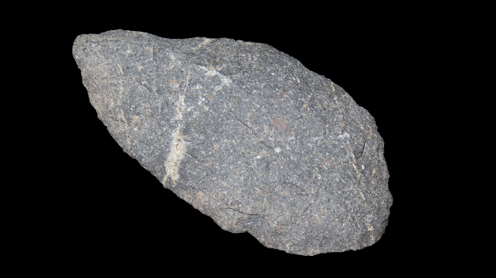 4 1/8” Paleo Blade, Northwest: 4 1/8” Paleo Blade, Northwest