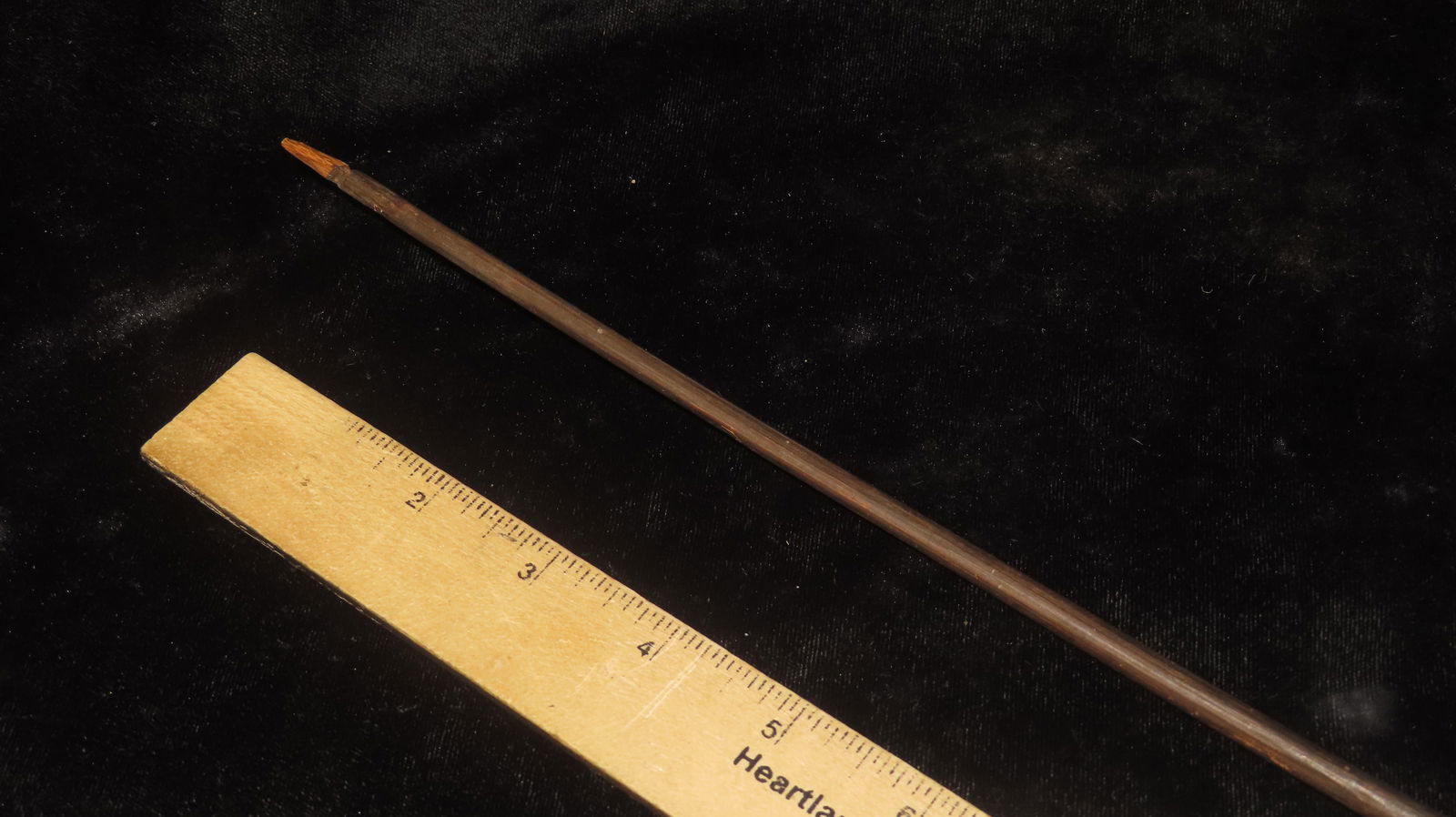 23 1/2” A Witches Switch - 2