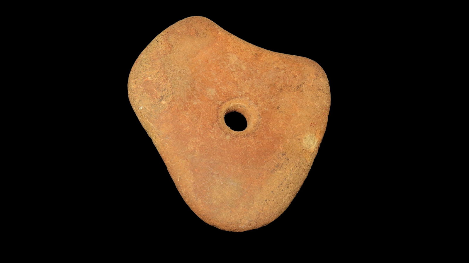 3” Bird Head Pendant: 3” Bird Head Pendant