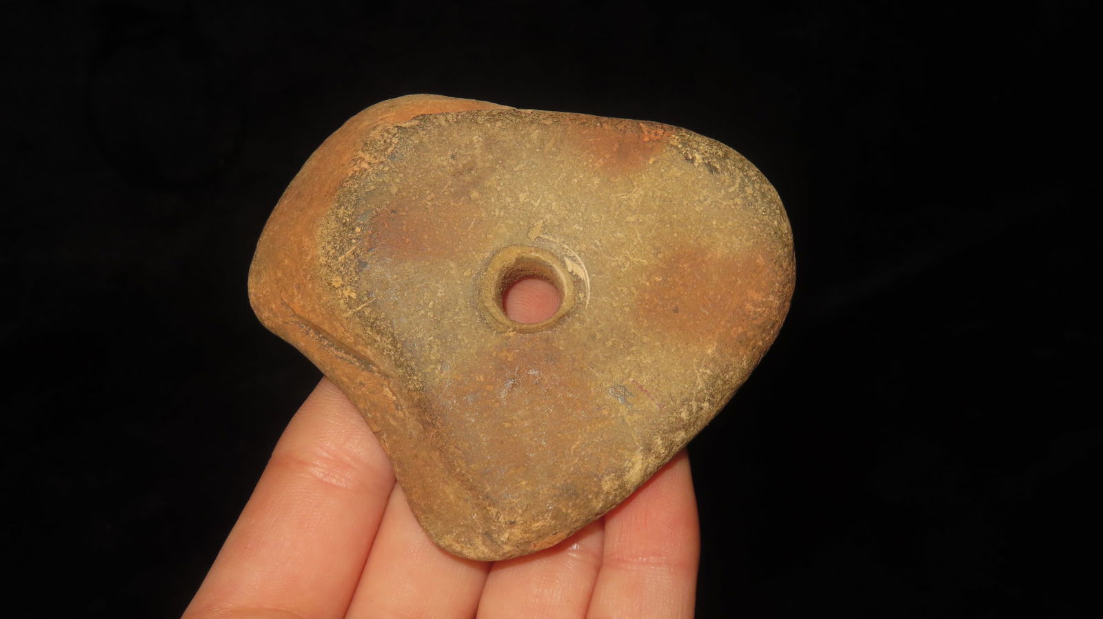 3” Bird Head Pendant - 2