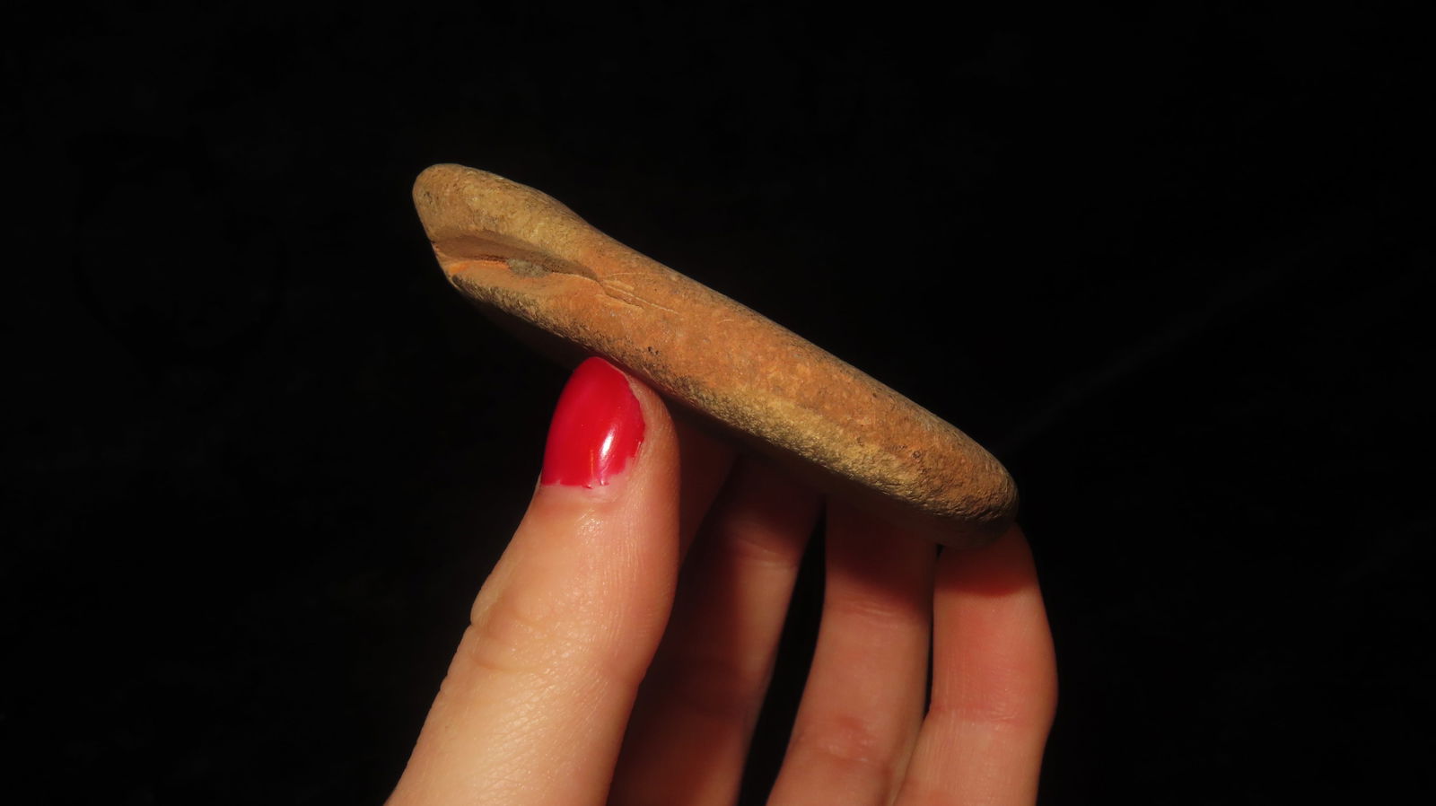 3” Bird Head Pendant - 3