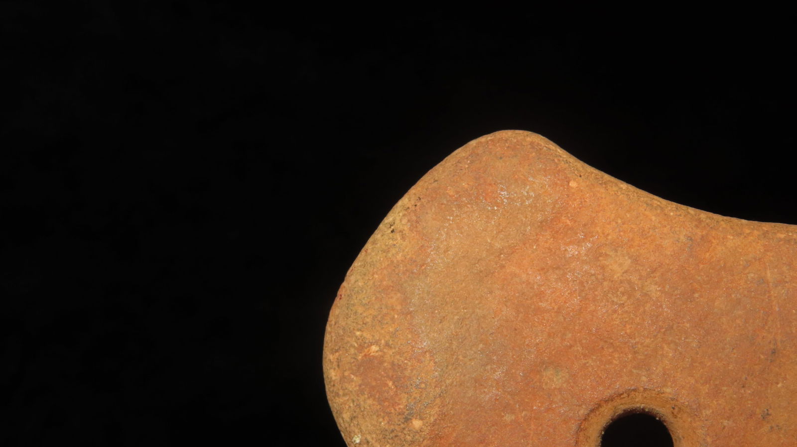 3” Bird Head Pendant - 4