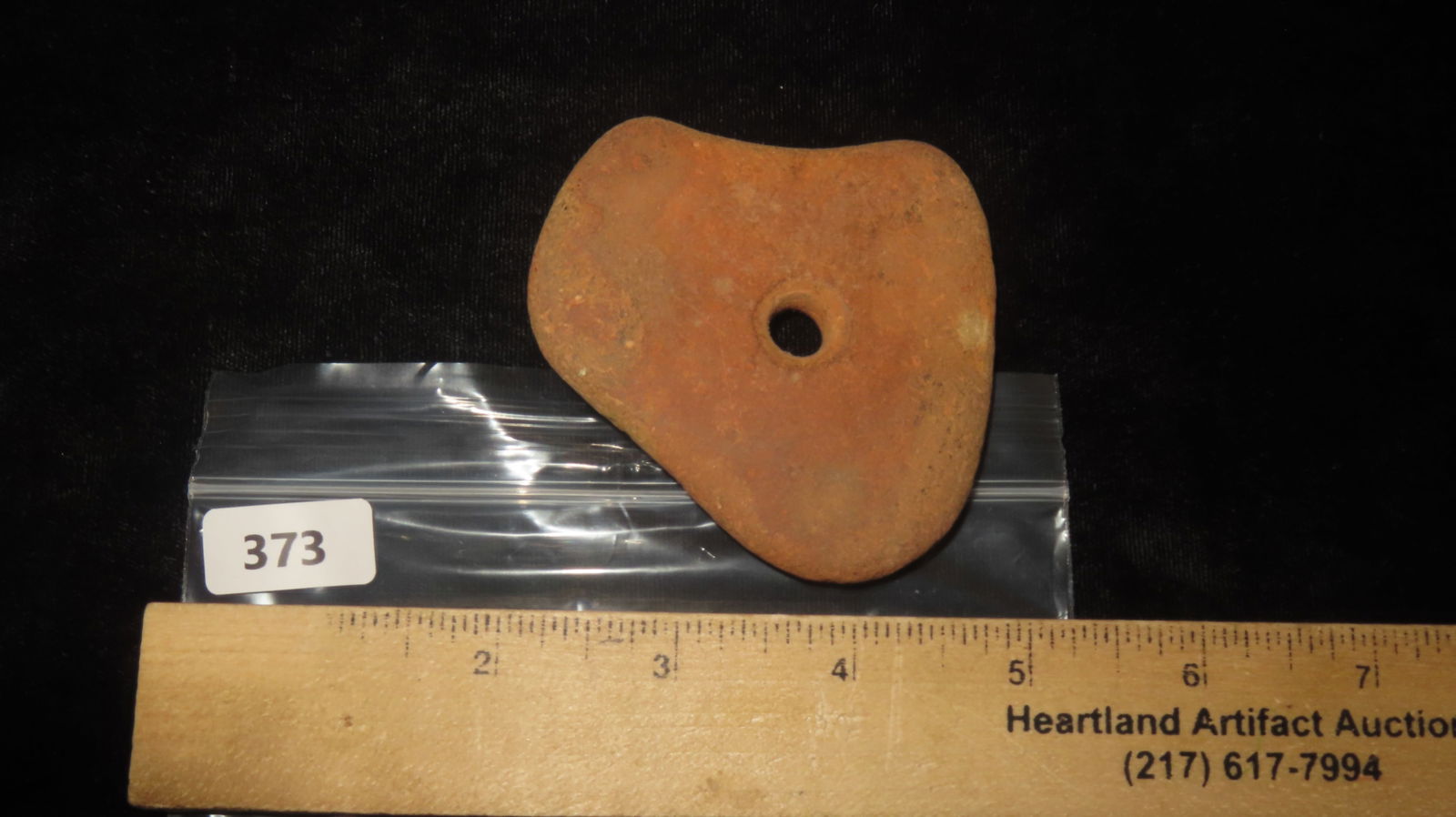 3” Bird Head Pendant - 6