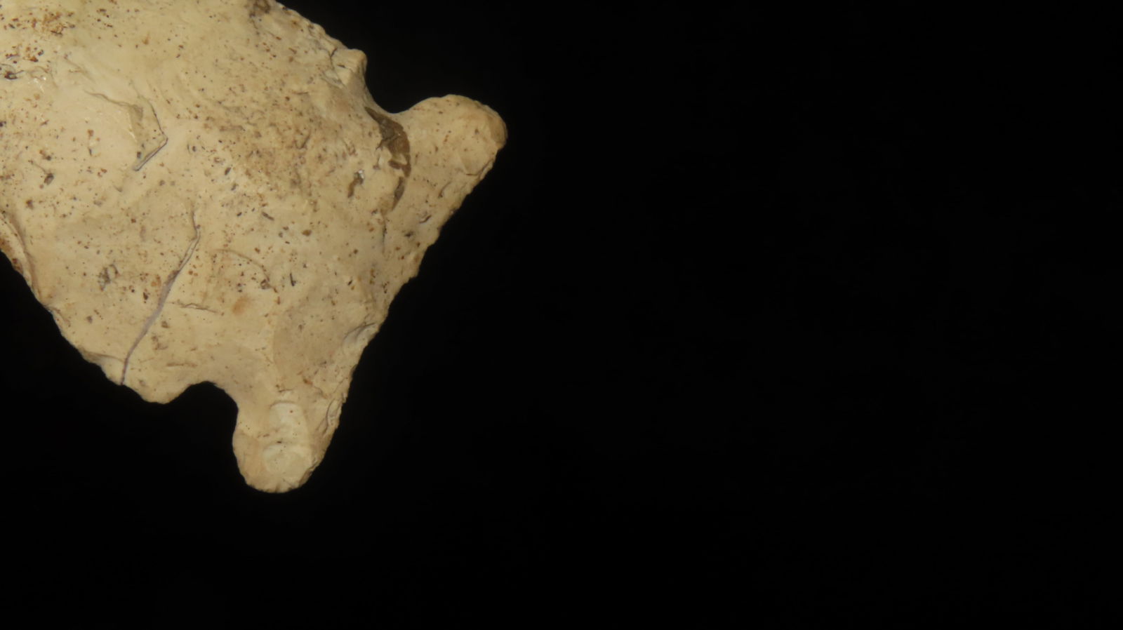 2 5/8” Archaic Side Notch - 5