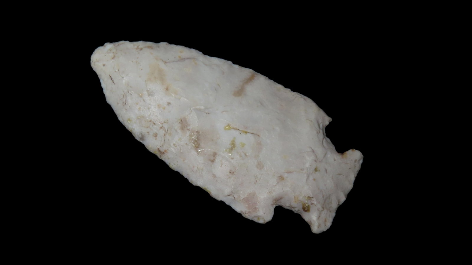 2 1/2” Matanza Point: 2 1/2” Matanza Point