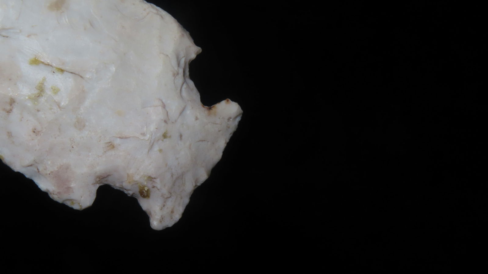 2 1/2” Matanza Point - 6