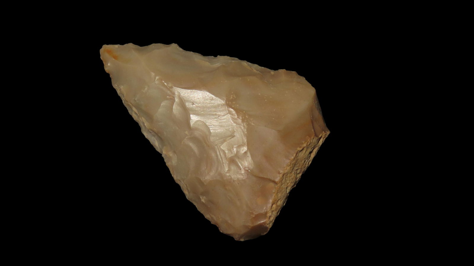 2 3/8” Blade, Kentucky, Ex Gary Noel: 2 3/8” Blade, Kentucky, Ex Gary Noel