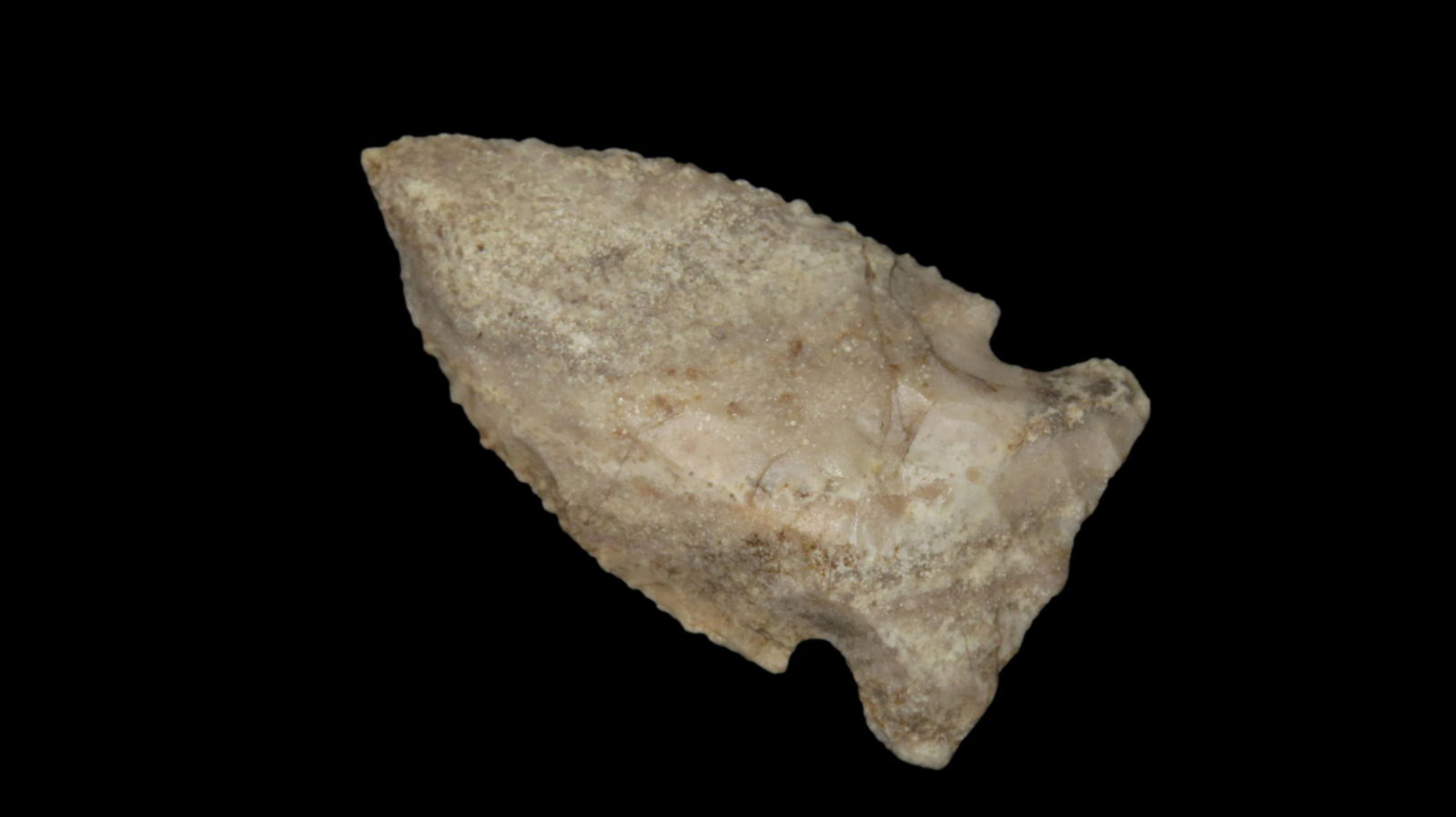 2 1/4” Matanza Point: 2 1/4” Matanza Point