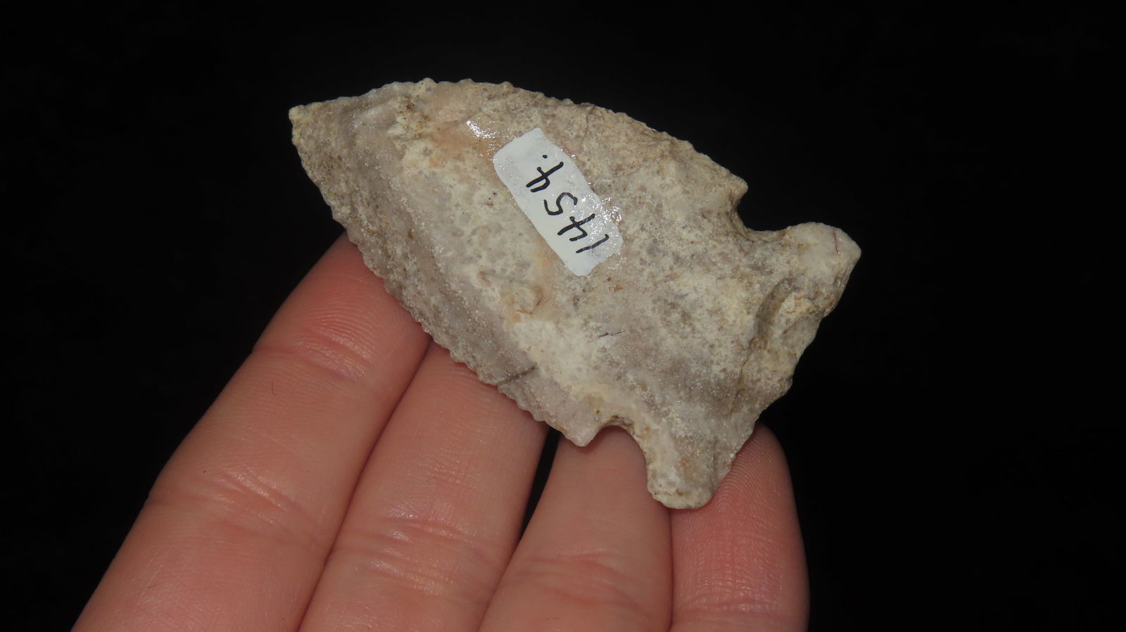 2 1/4” Matanza Point - 2