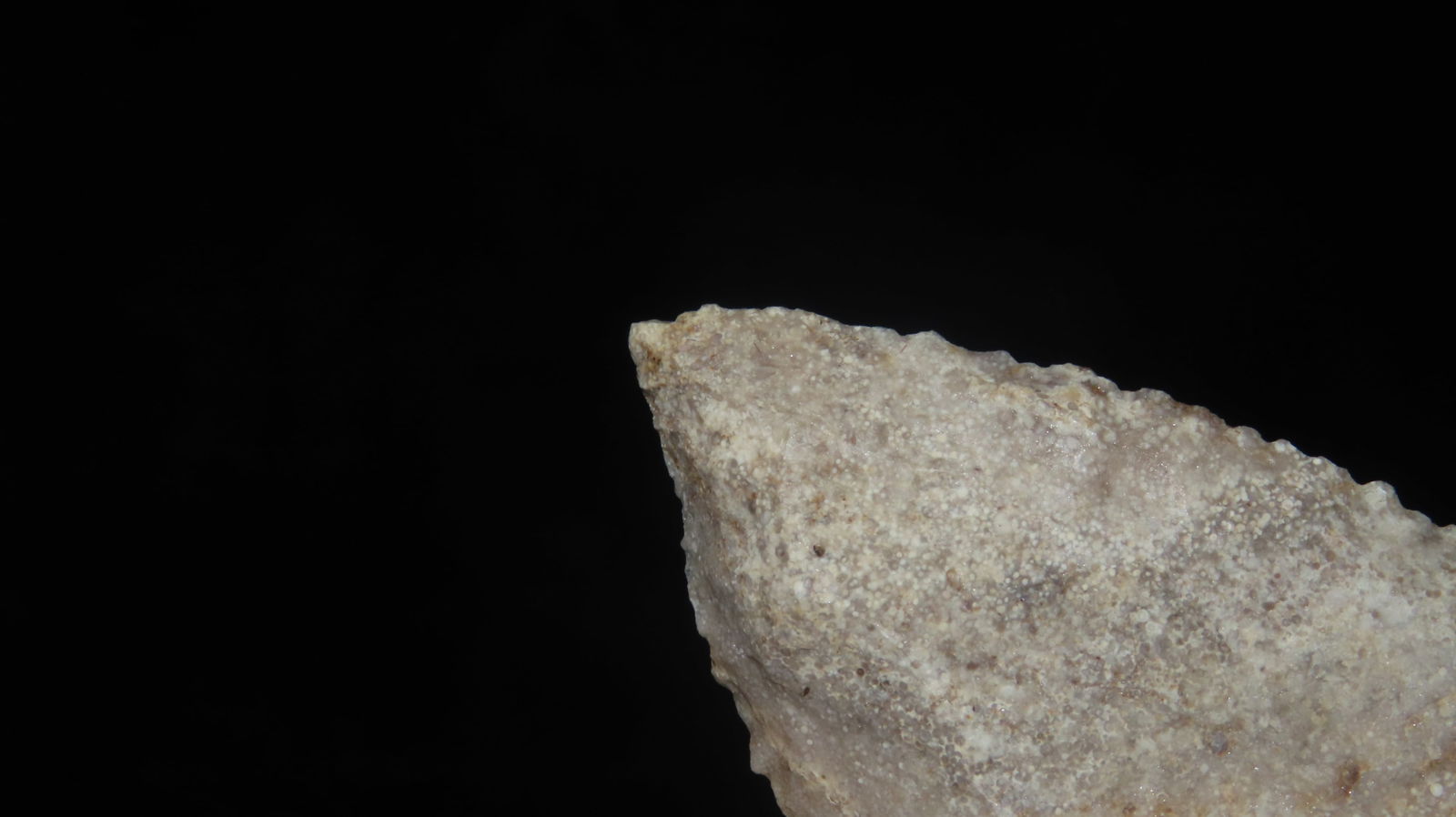 2 1/4” Matanza Point - 4