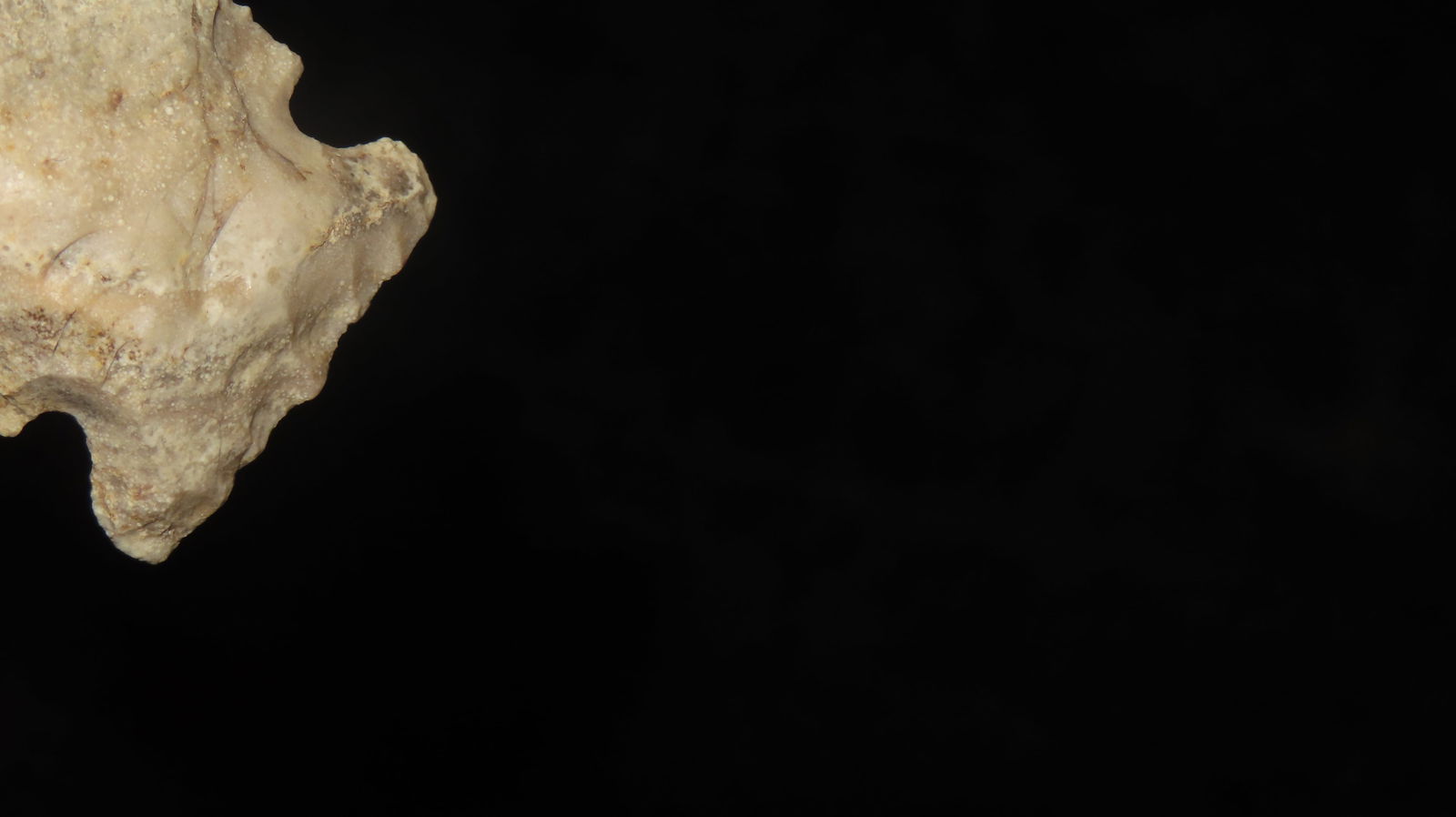 2 1/4” Matanza Point - 5