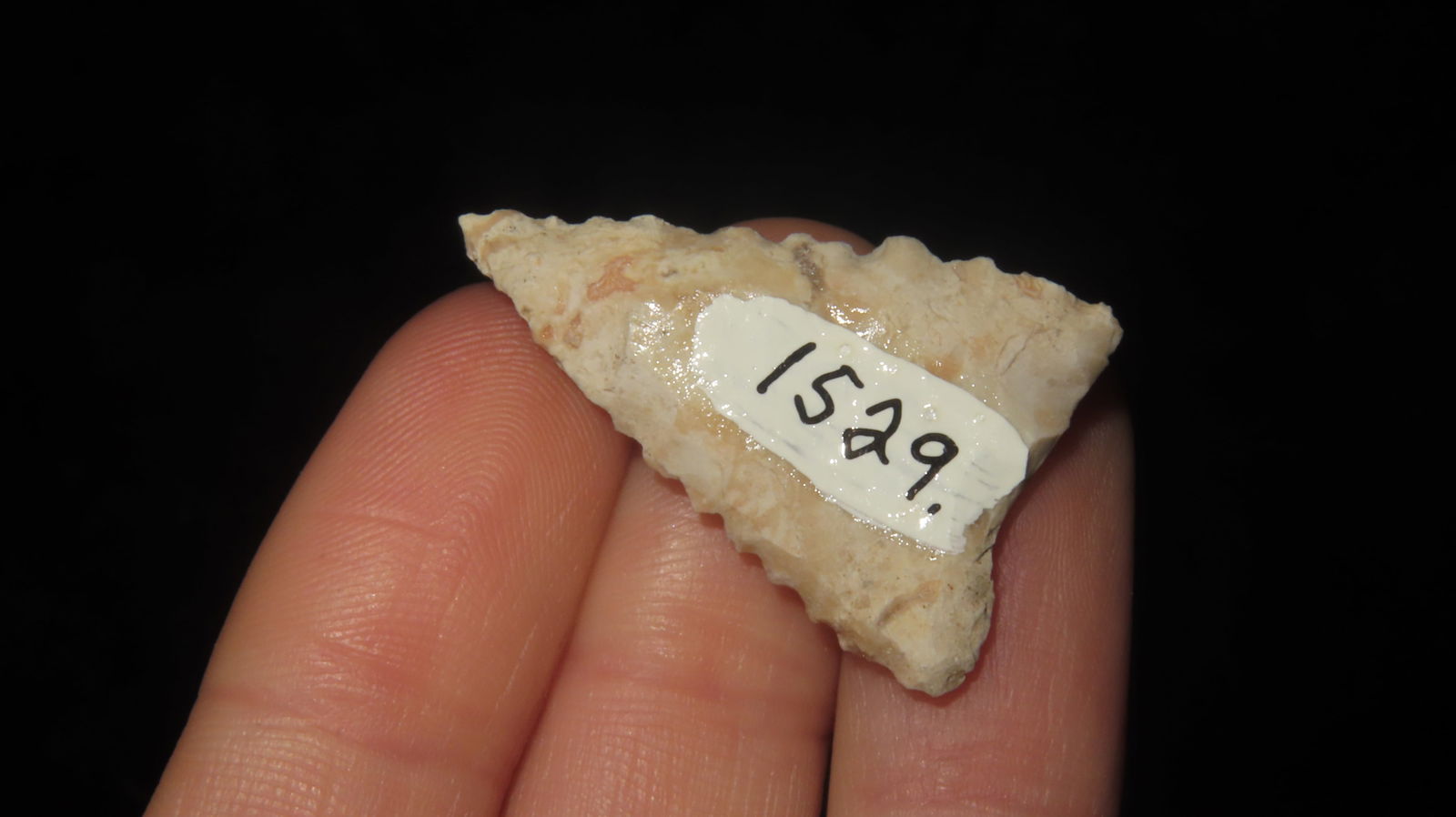 1 1/4” Triangle Serrated Point - 2