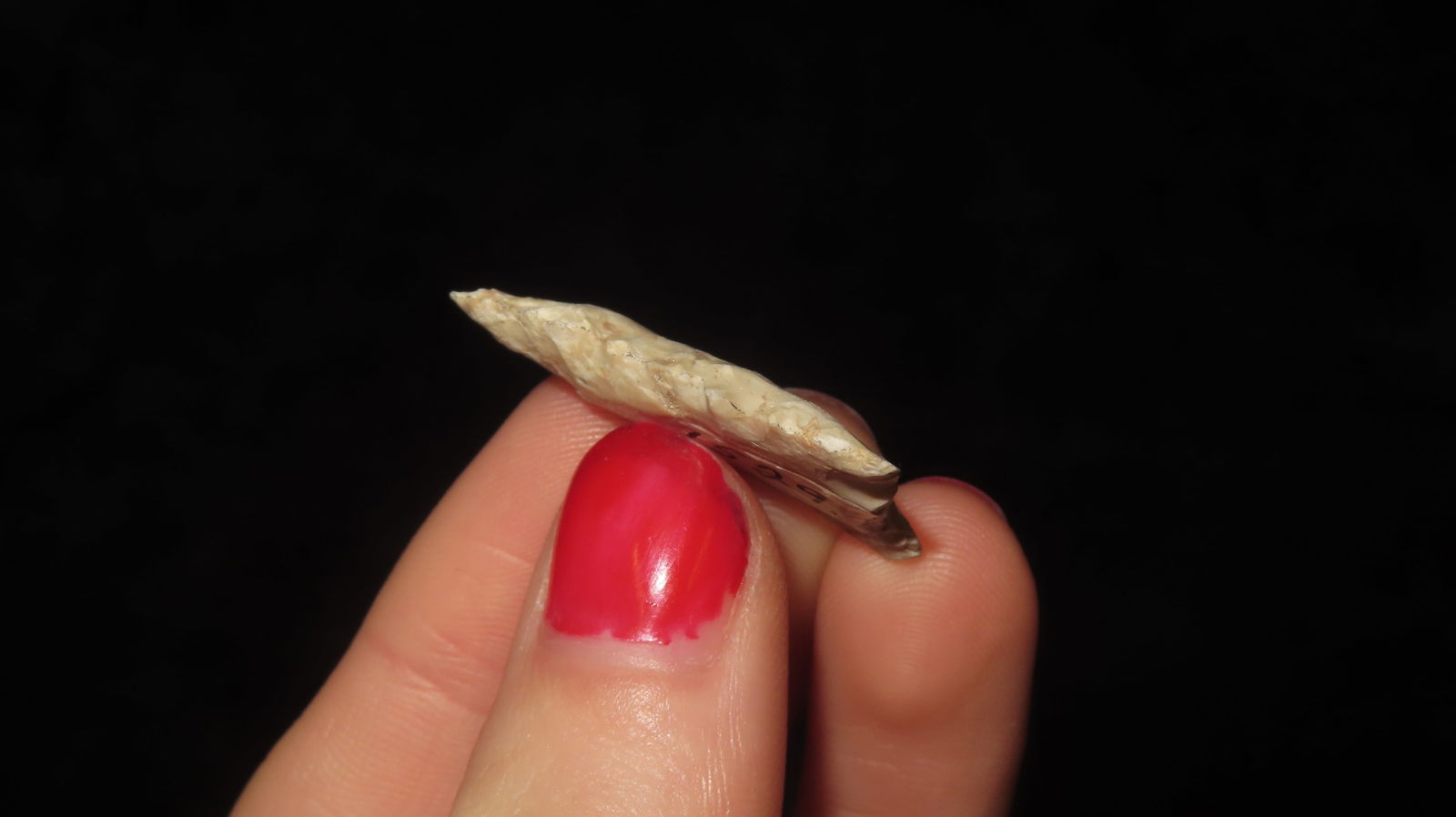 1 1/4” Triangle Serrated Point - 3