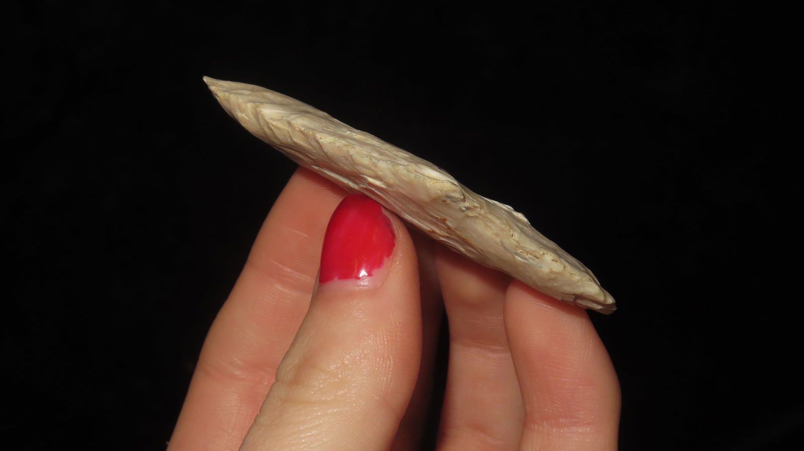 2 5/8” Dickson Point - 2