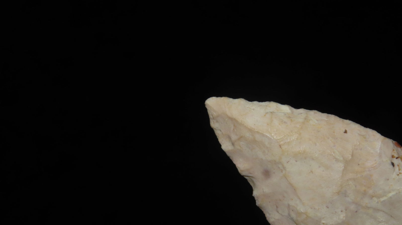 2 5/8” Dickson Point - 3